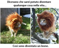 /album/galleria-fotografica/a149094-10151432634763743-1155890734-n-jpg/